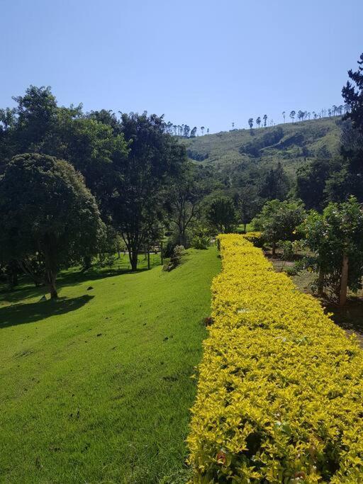Recanto Dos Beija Flores, Chale Lantana C مونتي أليغري دو سول المظهر الخارجي الصورة